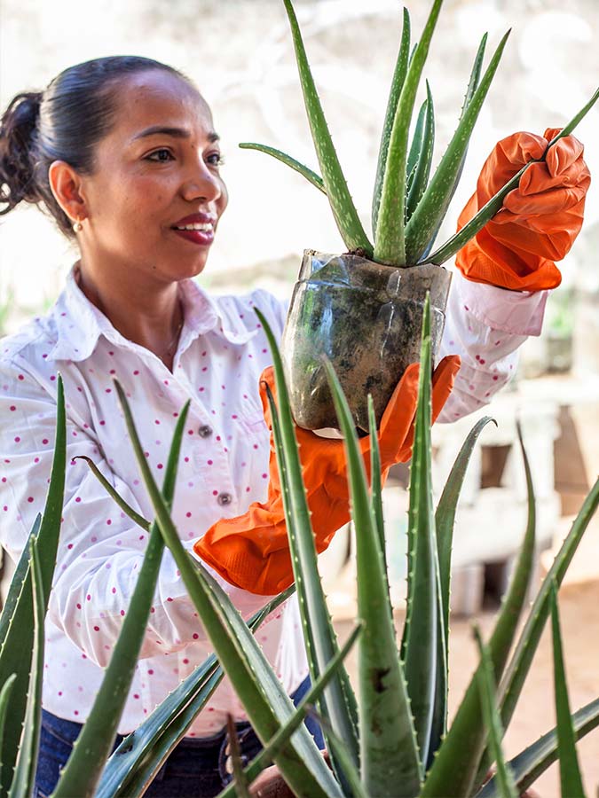 Aloe vera avec une femme | Aloe Magazine