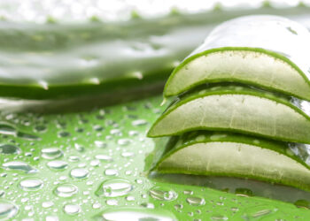 Composition de l'Aloe Vera | Aloe Magazine