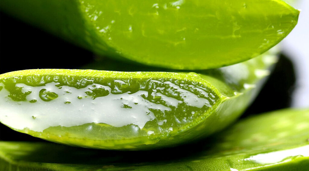 entgiftungskur aloe vera Hübner main image 0