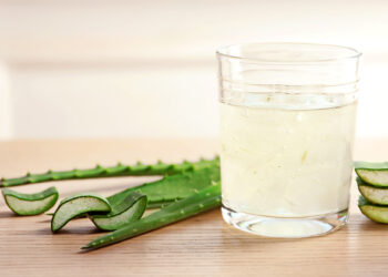 Témoignage aloe vera : découvrez les bienfaits de l'aloès d'après l'expérience de 50 consommateurs | Aloe Magazine