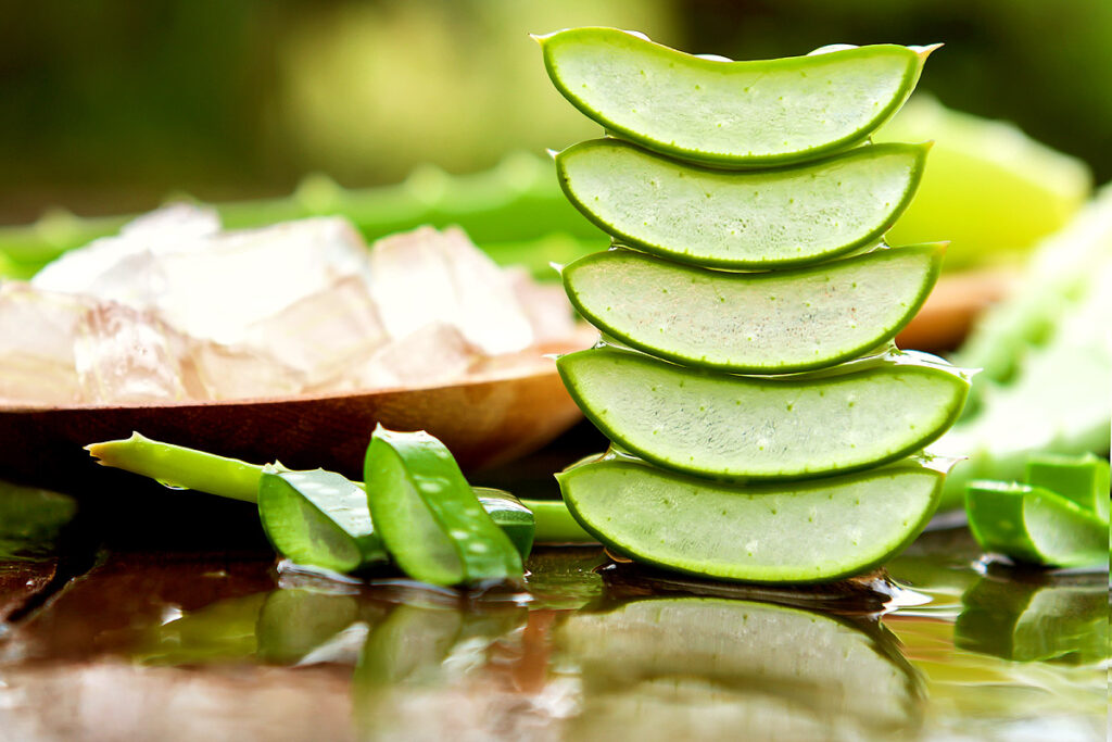 10 Bonnes Raisons de Boire la Pulpe d'Aloe Vera — free download