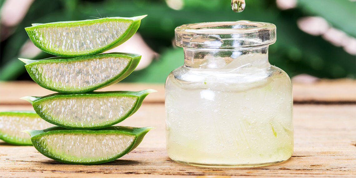 10 Bonnes Raisons de Boire la Pulpe d'Aloe Vera — free download