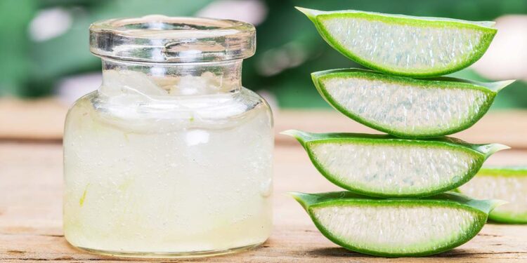 Boire aloe vera à jeun : les bienfaits du matin | Aloe Magazine
